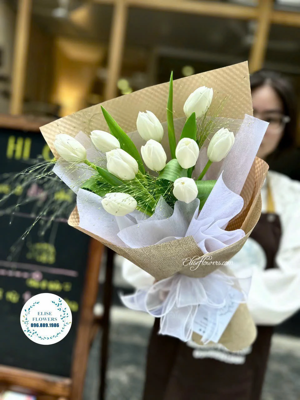 Tulip Hà Lan