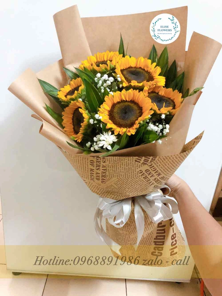 Hướng Dương Đón Nắng