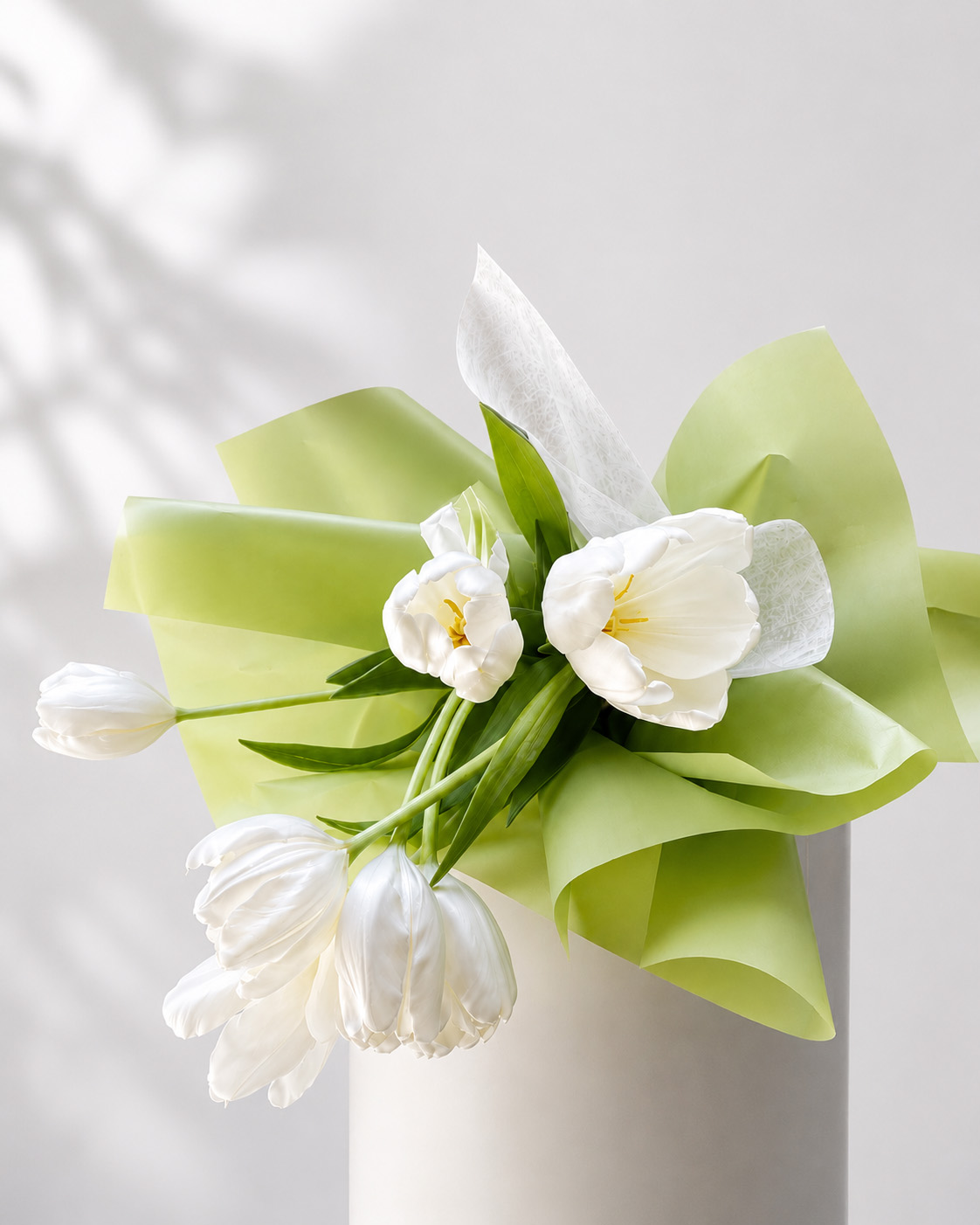 Tulip